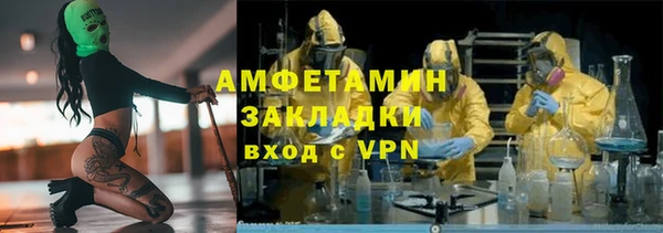 крисы Абаза