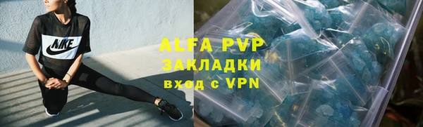 крисы Абаза