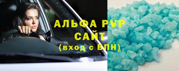 крисы Абаза