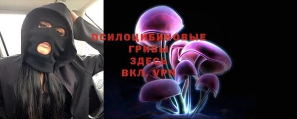 крисы Абаза