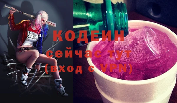 крисы Абаза