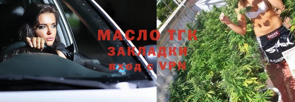 крисы Абаза